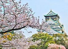 国安0-6惨败泰山深夜发声明：球队全体深感自责 对球迷郑重地说对不起